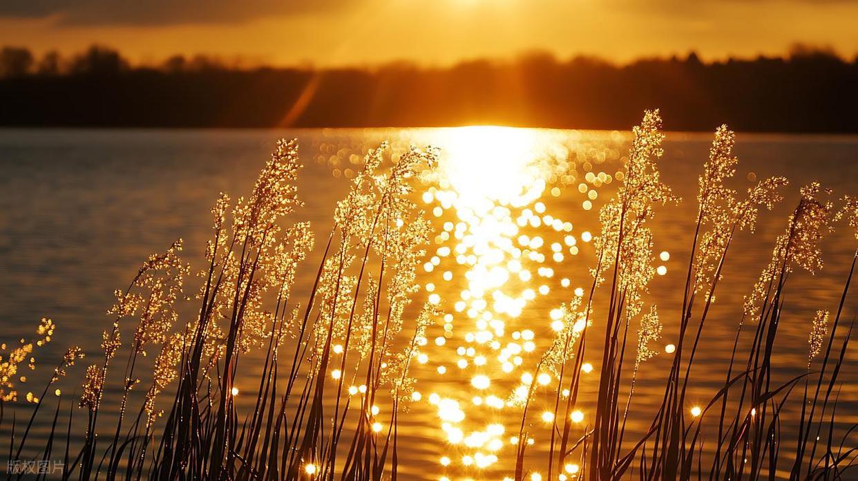 波光粼粼水面拍摄全攻略:从参数到氛围的核心技巧插图8 波光粼粼水面拍摄全攻略:从参数到氛围的核心技巧插图8