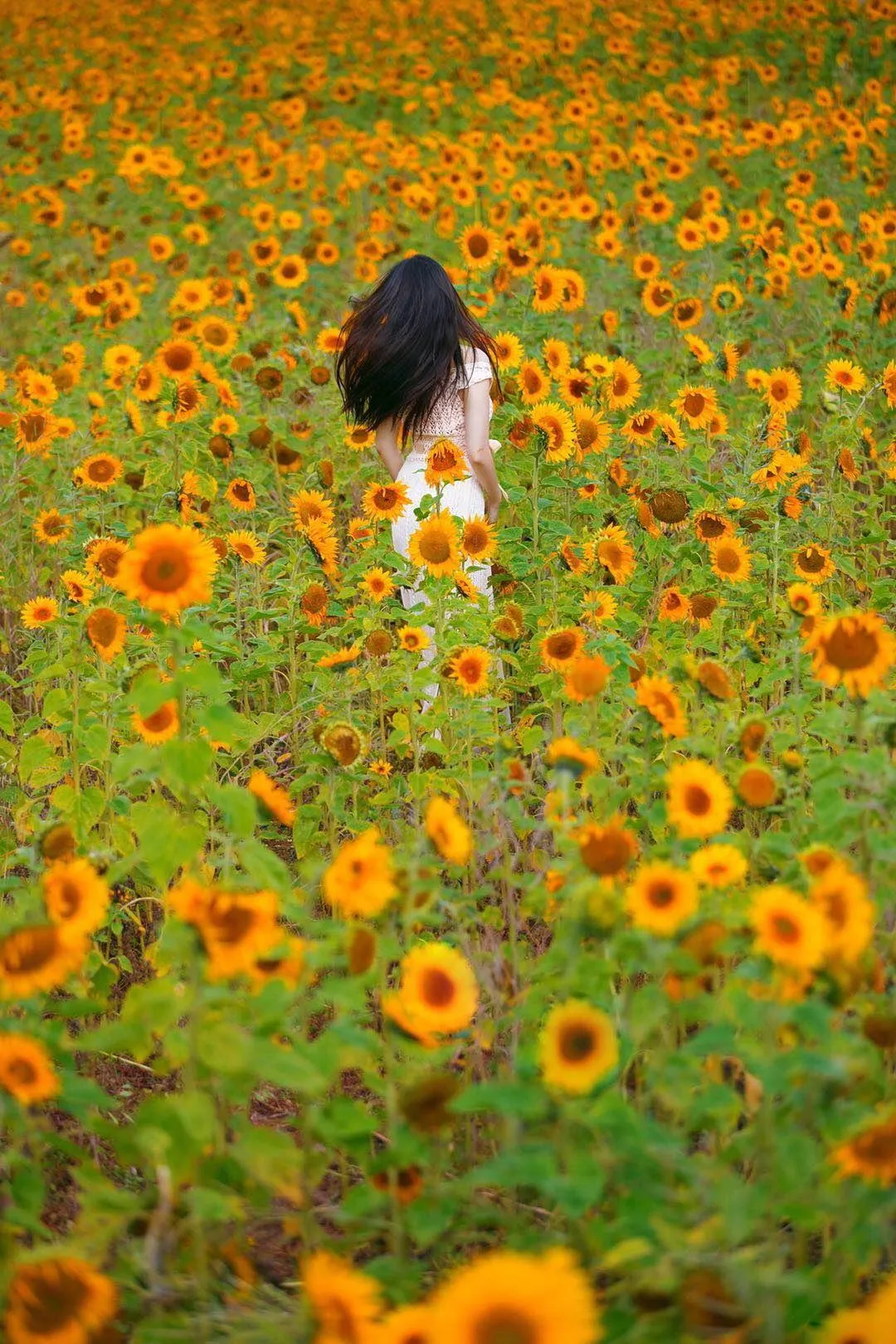 解锁花海人像拍照姿势,简单易学的7个姿势,帮你拍出高质量作品插图5 解锁花海人像拍照姿势,简单易学的7个姿势,帮你拍出高质量作品插图5