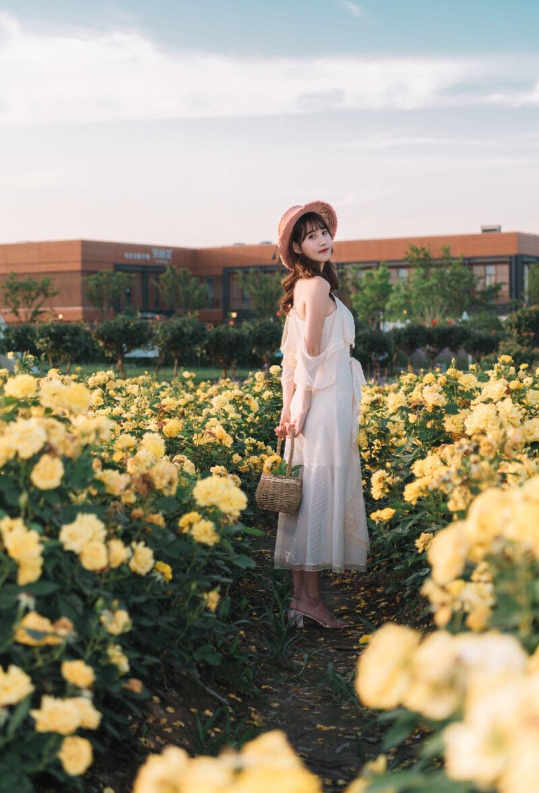 新手也能学会的7个拍照技巧,花海人像这样拍,拍出你的各种美插图4 新手也能学会的7个拍照技巧,花海人像这样拍,拍出你的各种美插图4