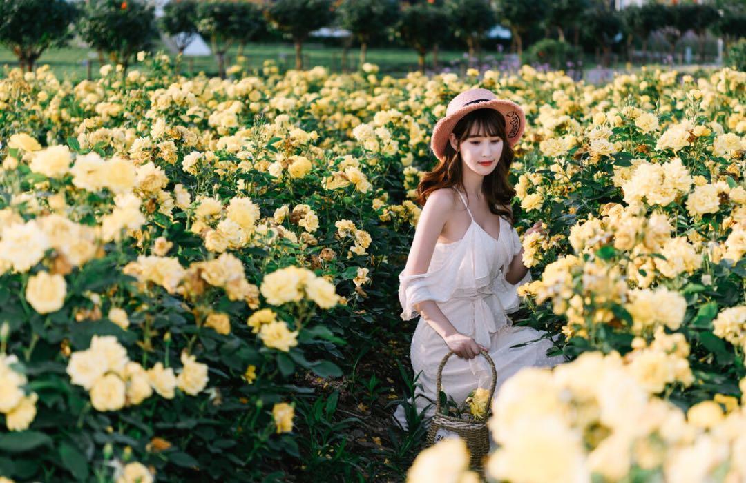 新手也能学会的7个拍照技巧,花海人像这样拍,拍出你的各种美插图5 新手也能学会的7个拍照技巧,花海人像这样拍,拍出你的各种美插图5