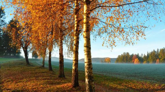 高品质风景图摄影技巧插图