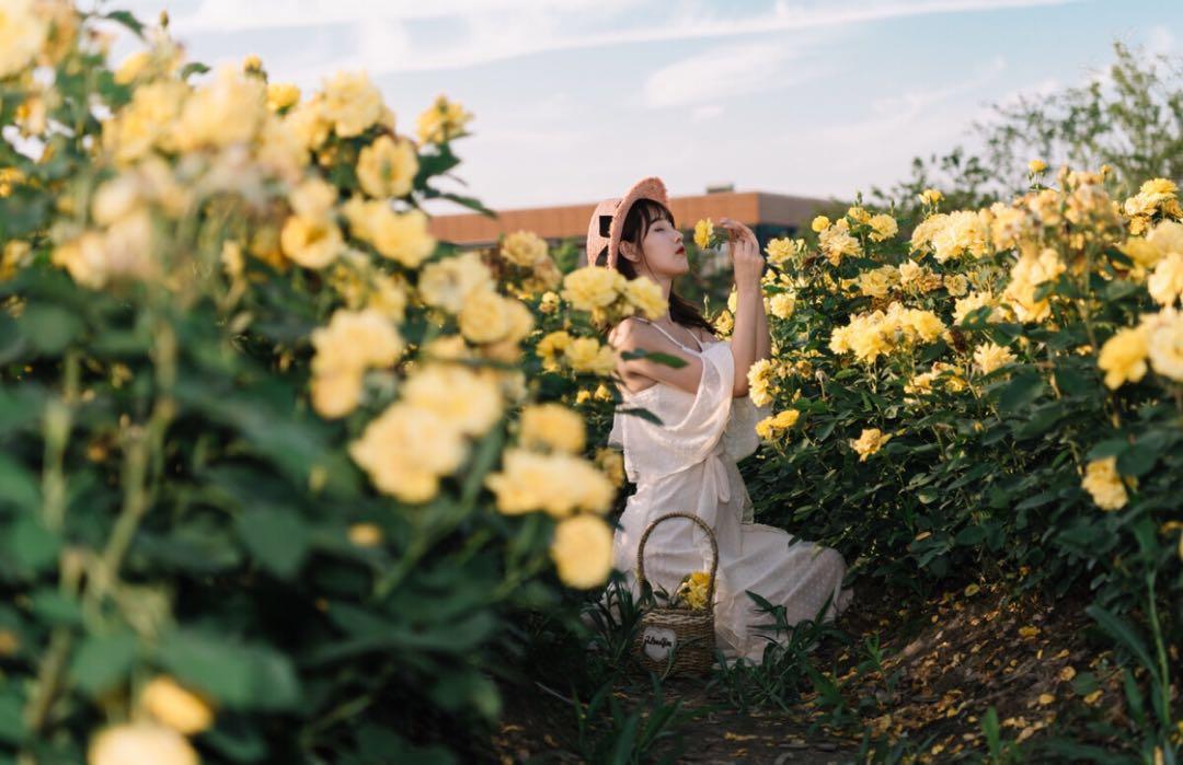 新手也能学会的7个拍照技巧,花海人像这样拍,拍出你的各种美插图2 新手也能学会的7个拍照技巧,花海人像这样拍,拍出你的各种美插图2