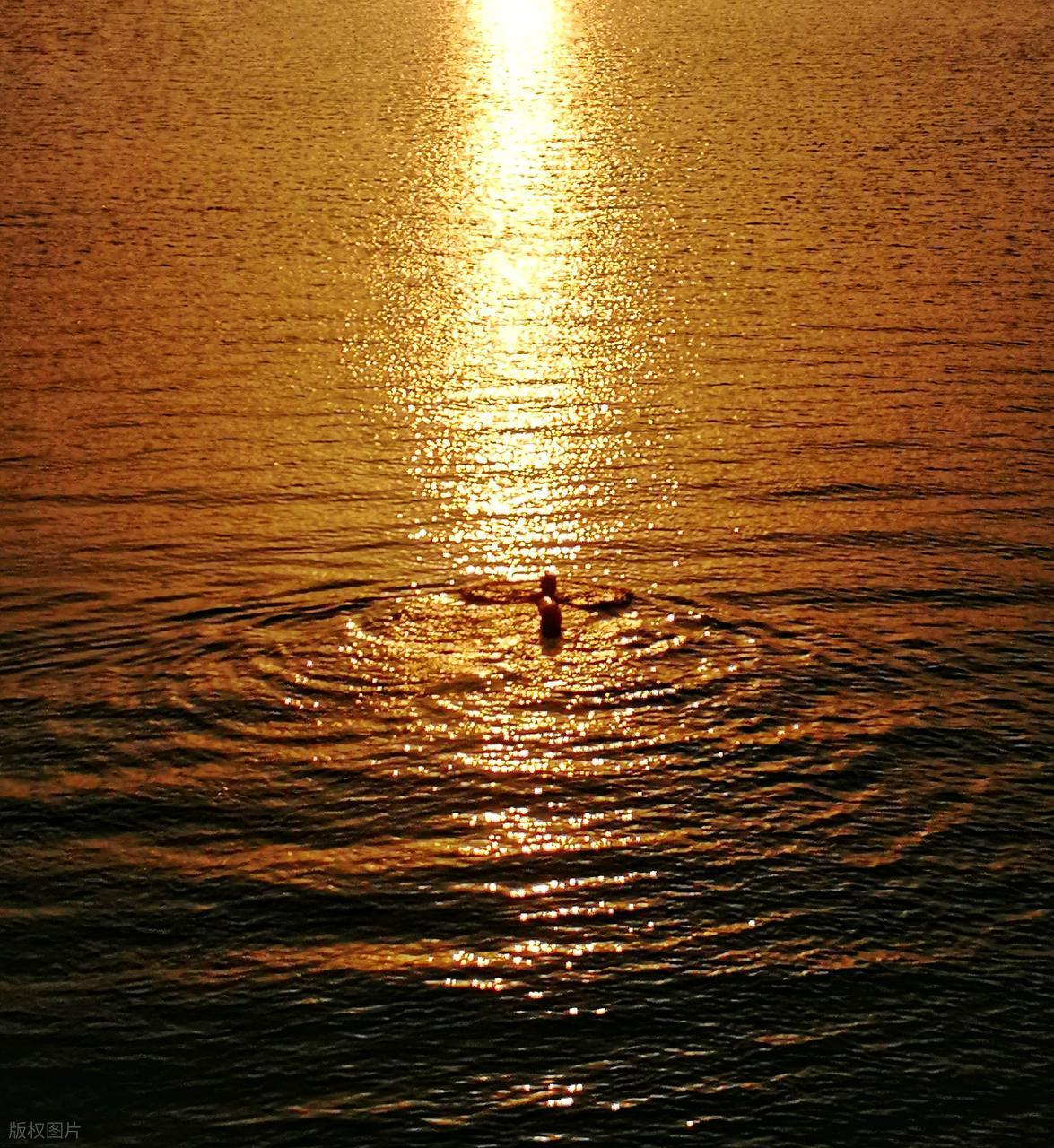 波光粼粼水面拍摄全攻略:从参数到氛围的核心技巧插图12 波光粼粼水面拍摄全攻略:从参数到氛围的核心技巧插图12