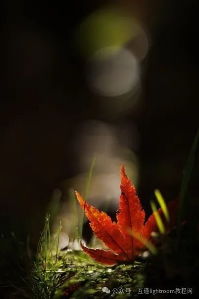 风光摄影没思路,值得尝试的5个技巧插图4 风光摄影没思路,值得尝试的5个技巧插图4