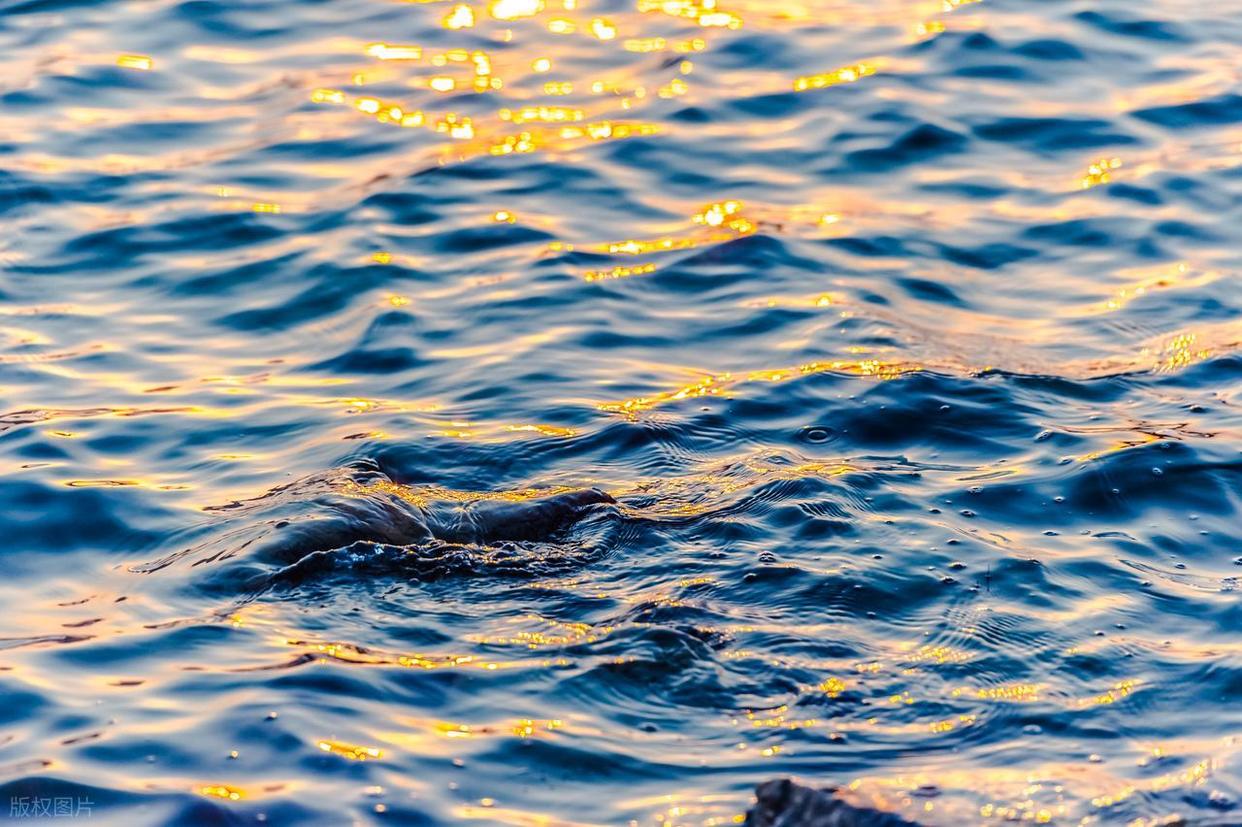 波光粼粼水面拍摄全攻略:从参数到氛围的核心技巧插图11 波光粼粼水面拍摄全攻略:从参数到氛围的核心技巧插图11