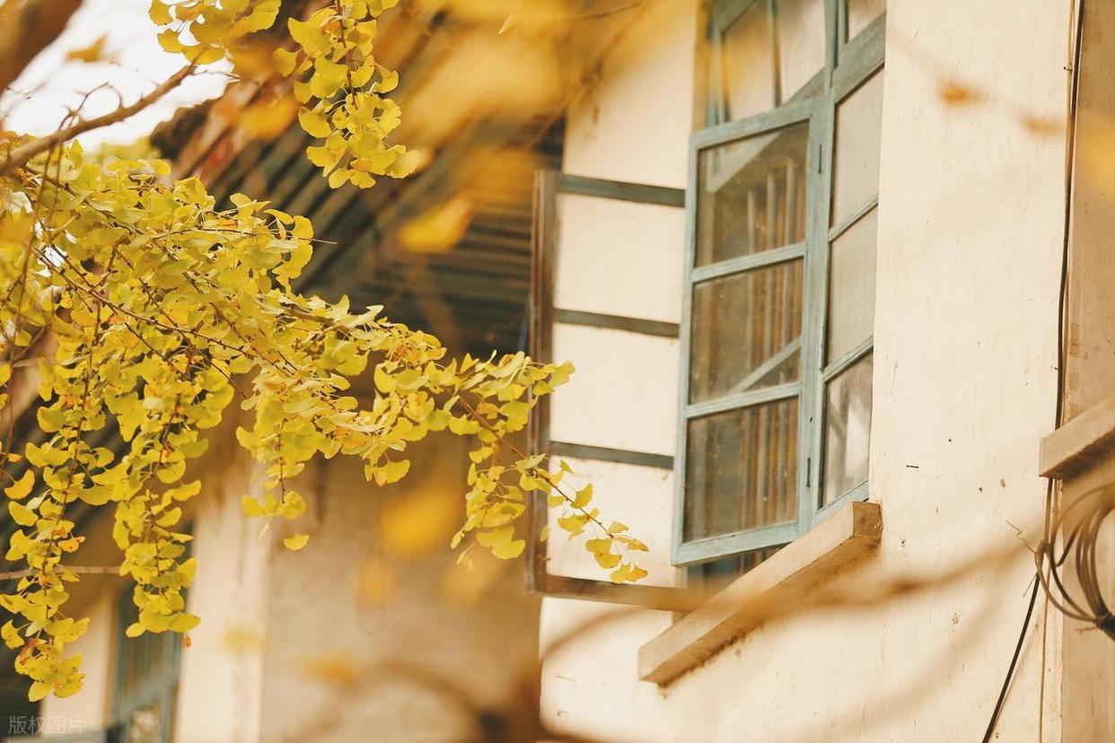 摄影构图避坑指南:拍出好片的关键要点插图12 摄影构图避坑指南:拍出好片的关键要点插图12