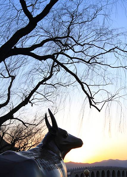 影技巧 如何使用曝光补偿与包围曝光插图5 影技巧 如何使用曝光补偿与包围曝光插图5