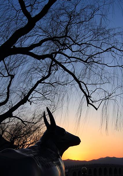 影技巧 如何使用曝光补偿与包围曝光插图4 影技巧 如何使用曝光补偿与包围曝光插图4