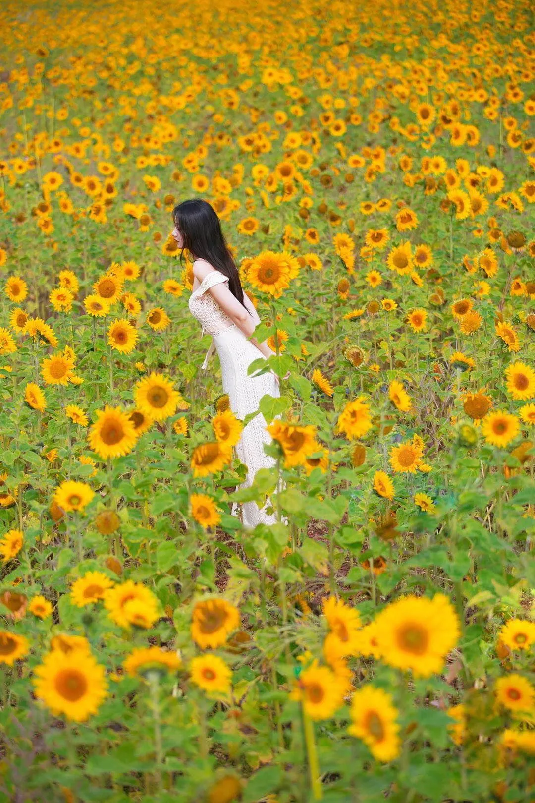 解锁花海人像拍照姿势,简单易学的7个姿势,帮你拍出高质量作品插图 解锁花海人像拍照姿势,简单易学的7个姿势,帮你拍出高质量作品插图