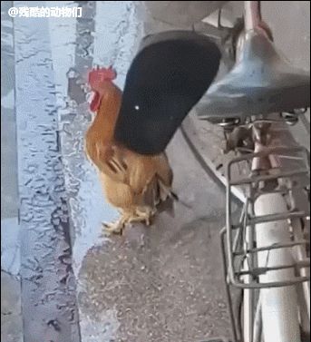 丧尸大片之《釜山行 不通》!插图14 丧尸大片之《釜山行 不通》!插图14