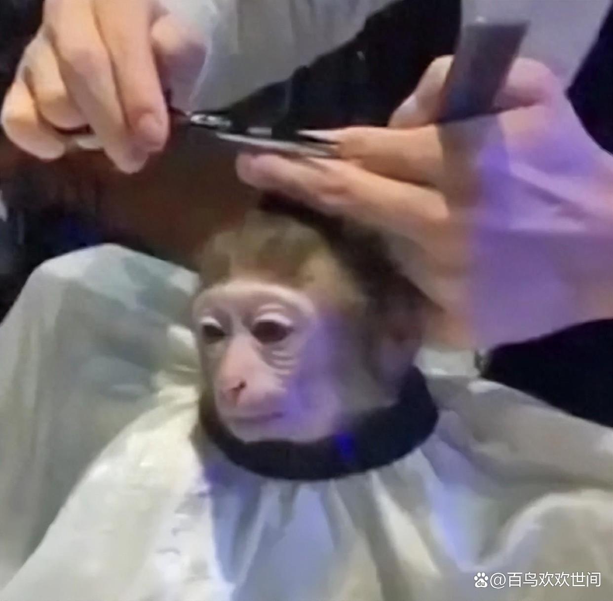 爆笑段子,内涵笑话有韵味插图 爆笑段子,内涵笑话有韵味插图