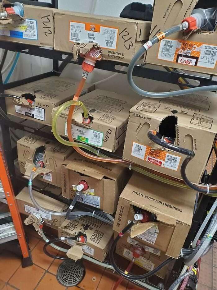 换个角度看世界:这16张罕见照片,每一张带你解锁事物的另一面!插图1 换个角度看世界:这16张罕见照片,每一张带你解锁事物的另一面!插图1