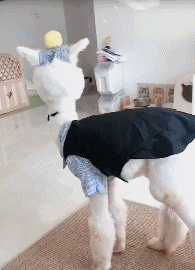 4S店销冠是怎样练成的？插图8