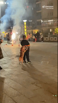 丧尸大片之《釜山行 不通》!插图2 丧尸大片之《釜山行 不通》!插图2