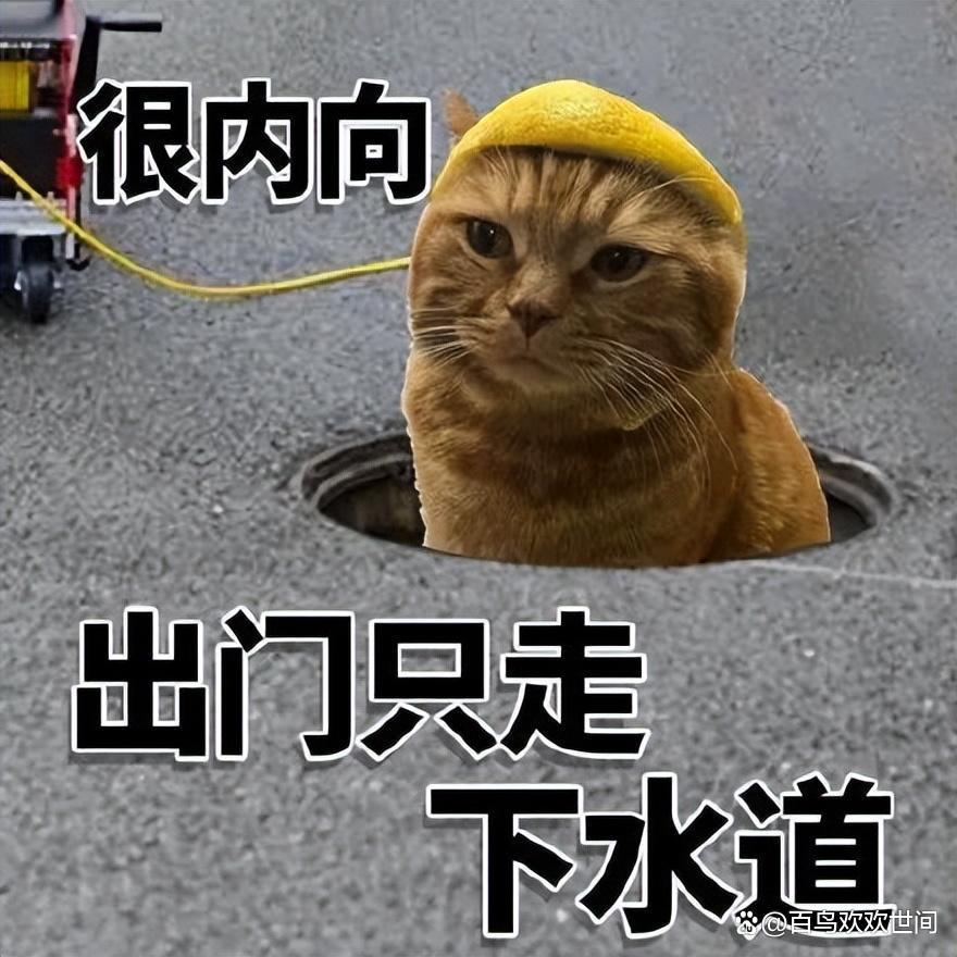 爆笑段子,内涵笑话有韵味插图3 爆笑段子,内涵笑话有韵味插图3