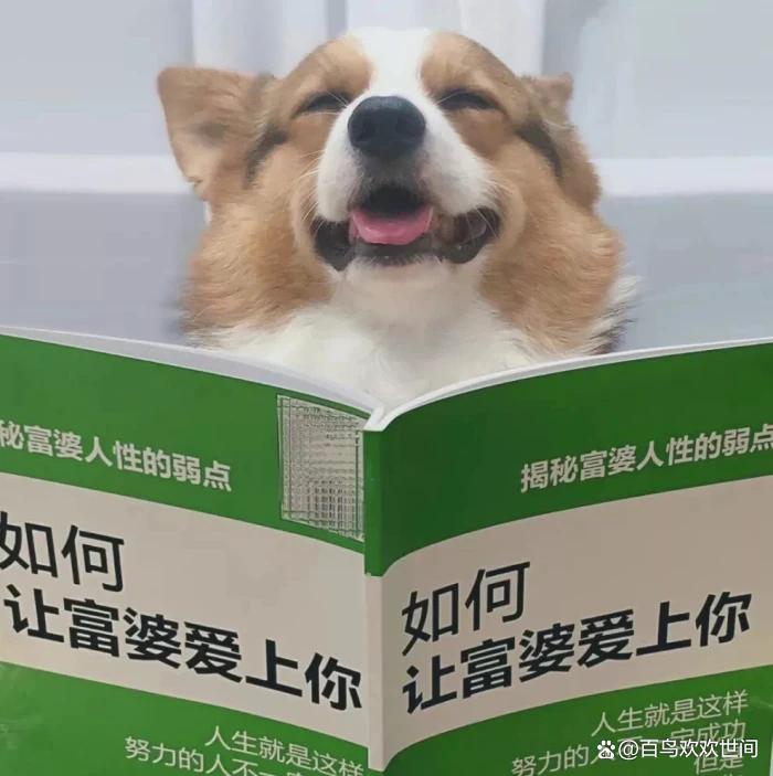 爆笑段子,内涵笑话有韵味插图7 爆笑段子,内涵笑话有韵味插图7