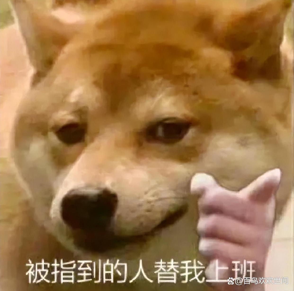 爆笑段子,内涵笑话有韵味插图8 爆笑段子,内涵笑话有韵味插图8