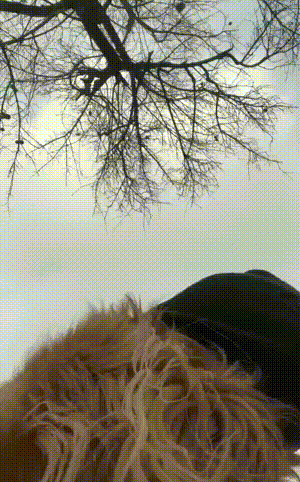 丧尸大片之《釜山行 不通》!插图4 丧尸大片之《釜山行 不通》!插图4