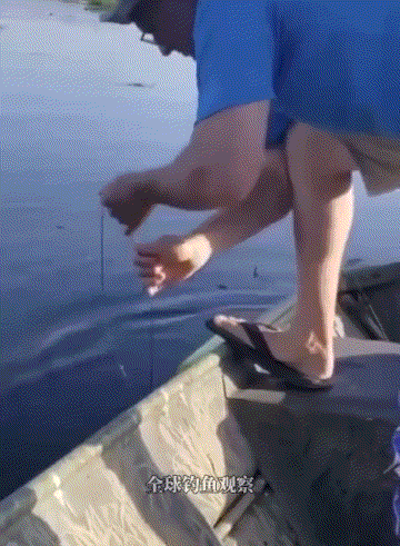 丧尸大片之《釜山行 不通》!插图12 丧尸大片之《釜山行 不通》!插图12