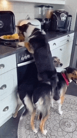 丧尸大片之《釜山行 不通》!插图13 丧尸大片之《釜山行 不通》!插图13