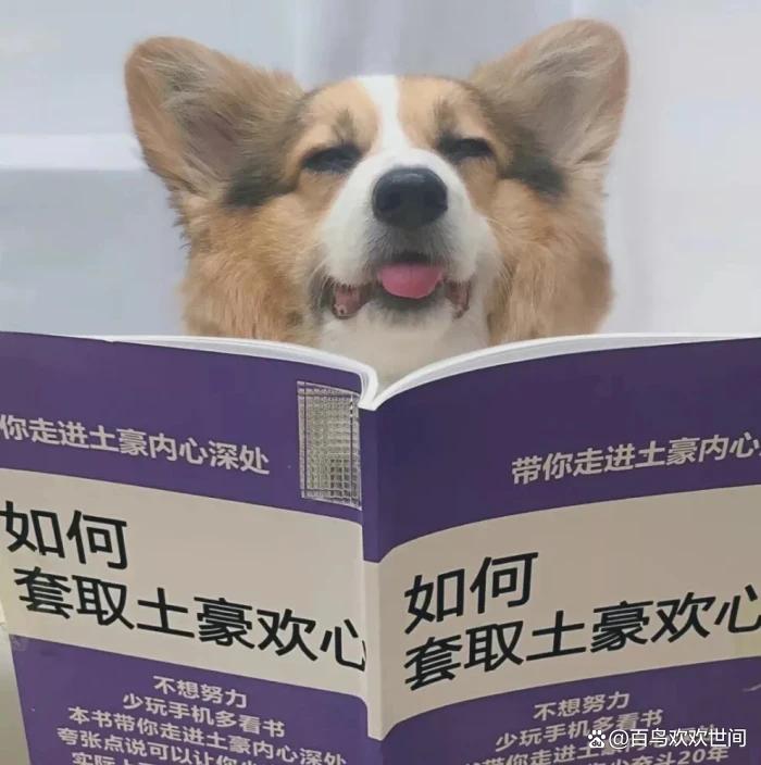 爆笑段子,内涵笑话有韵味插图6 爆笑段子,内涵笑话有韵味插图6