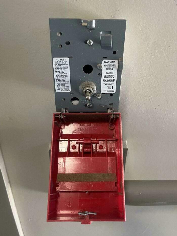 换个角度看世界:这16张罕见照片,每一张带你解锁事物的另一面!插图3 换个角度看世界:这16张罕见照片,每一张带你解锁事物的另一面!插图3