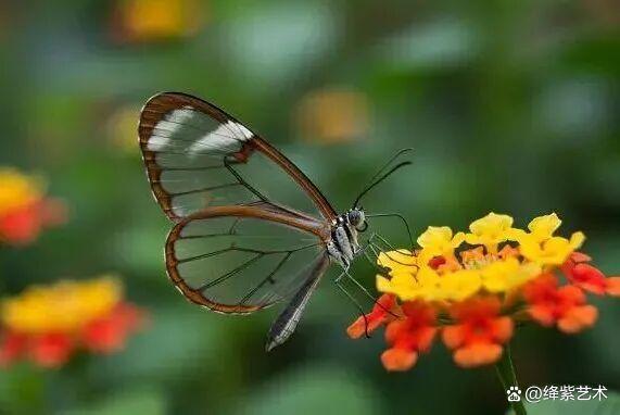 叹为观止!16个大自然造就的艺术,美得仿佛被精心设计过插图11 叹为观止!16个大自然造就的艺术,美得仿佛被精心设计过插图11