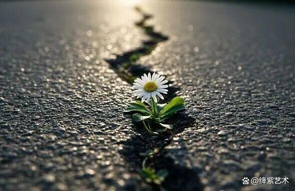 叹为观止!16个大自然造就的艺术,美得仿佛被精心设计过插图15 叹为观止!16个大自然造就的艺术,美得仿佛被精心设计过插图15