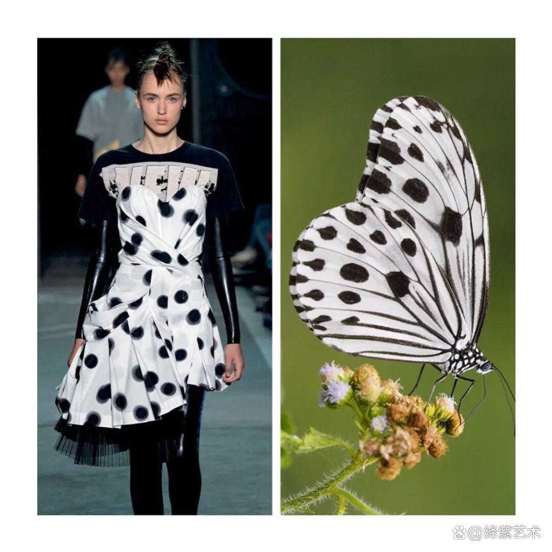 叹为观止!这20个创意服装,原型竟然是虫子、蜥蜴和蘑菇插图1 叹为观止!这20个创意服装,原型竟然是虫子、蜥蜴和蘑菇插图1