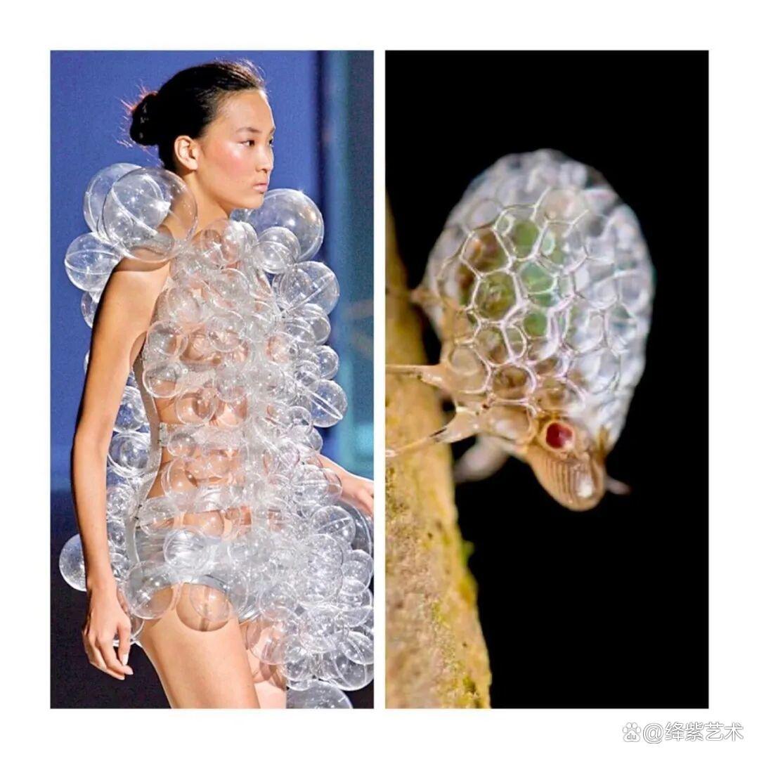 叹为观止!这20个创意服装,原型竟然是虫子、蜥蜴和蘑菇插图14 叹为观止!这20个创意服装,原型竟然是虫子、蜥蜴和蘑菇插图14