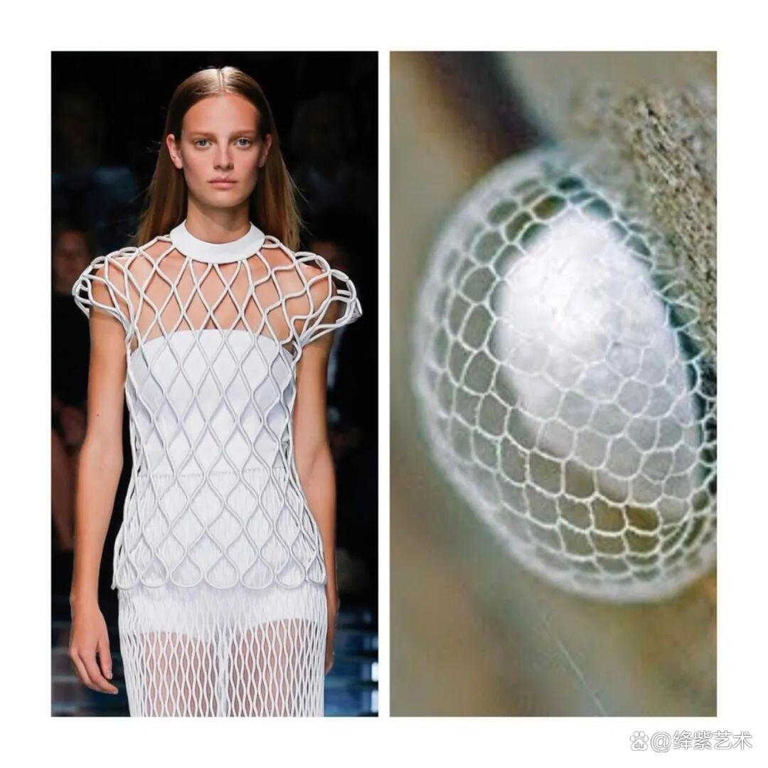 叹为观止!这20个创意服装,原型竟然是虫子、蜥蜴和蘑菇插图19 叹为观止!这20个创意服装,原型竟然是虫子、蜥蜴和蘑菇插图19