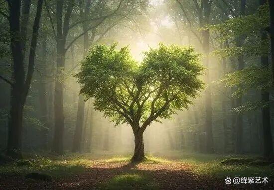 叹为观止!16个大自然造就的艺术,美得仿佛被精心设计过插图1 叹为观止!16个大自然造就的艺术,美得仿佛被精心设计过插图1