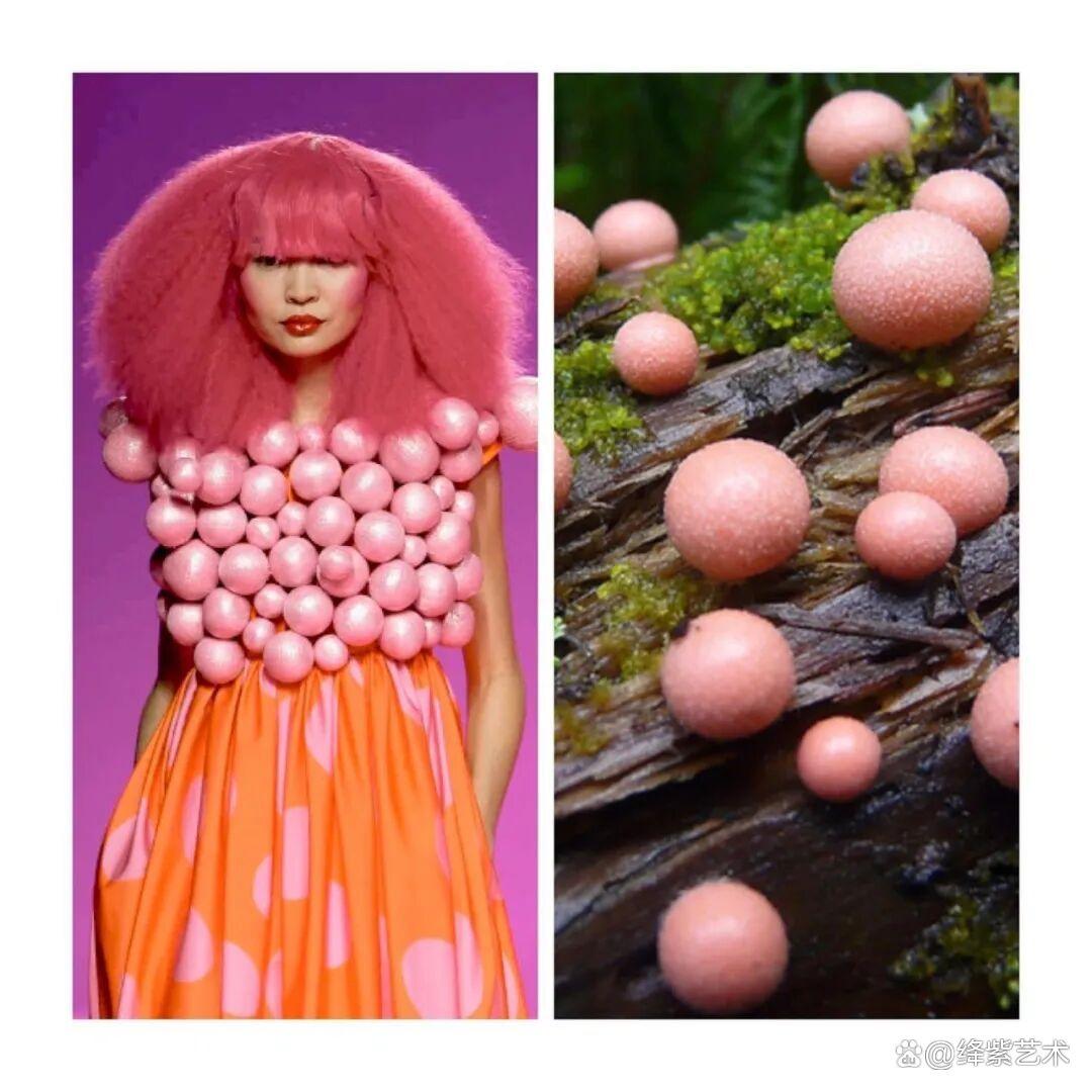 叹为观止!这20个创意服装,原型竟然是虫子、蜥蜴和蘑菇插图15 叹为观止!这20个创意服装,原型竟然是虫子、蜥蜴和蘑菇插图15