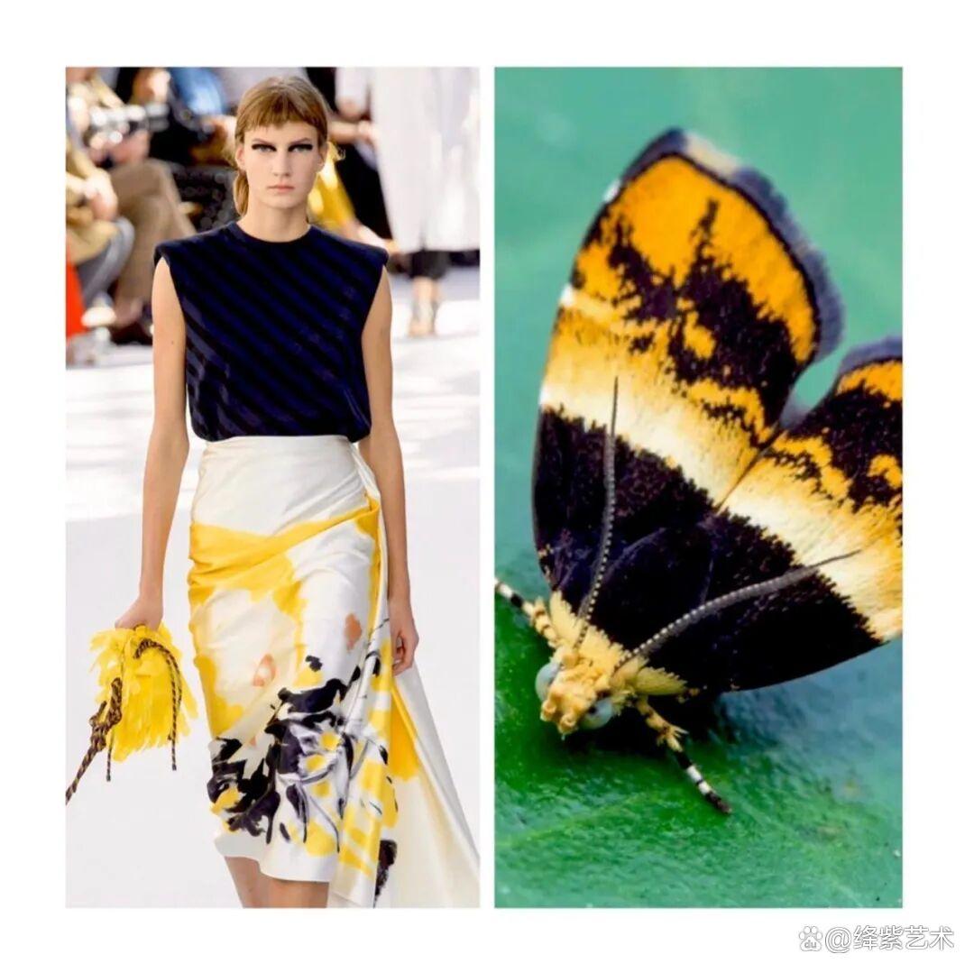 叹为观止!这20个创意服装,原型竟然是虫子、蜥蜴和蘑菇插图10 叹为观止!这20个创意服装,原型竟然是虫子、蜥蜴和蘑菇插图10