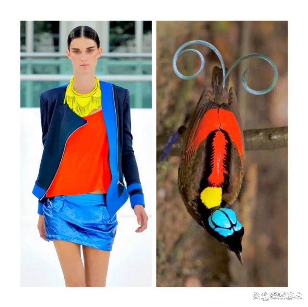 叹为观止!这20个创意服装,原型竟然是虫子、蜥蜴和蘑菇插图13 叹为观止!这20个创意服装,原型竟然是虫子、蜥蜴和蘑菇插图13
