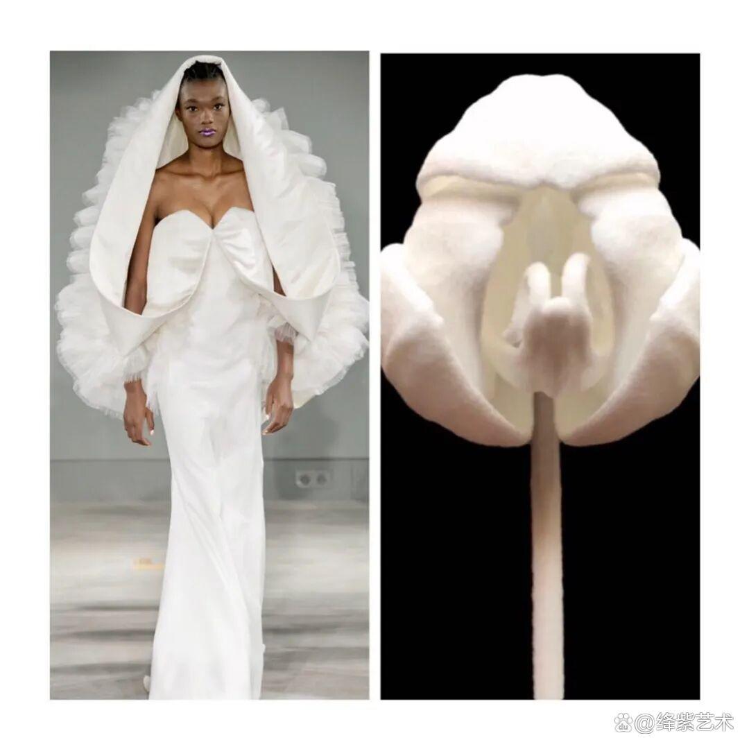 叹为观止!这20个创意服装,原型竟然是虫子、蜥蜴和蘑菇插图12 叹为观止!这20个创意服装,原型竟然是虫子、蜥蜴和蘑菇插图12