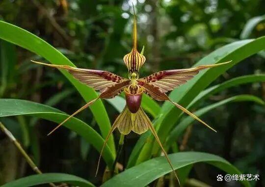 叹为观止!16个大自然造就的艺术,美得仿佛被精心设计过插图8 叹为观止!16个大自然造就的艺术,美得仿佛被精心设计过插图8