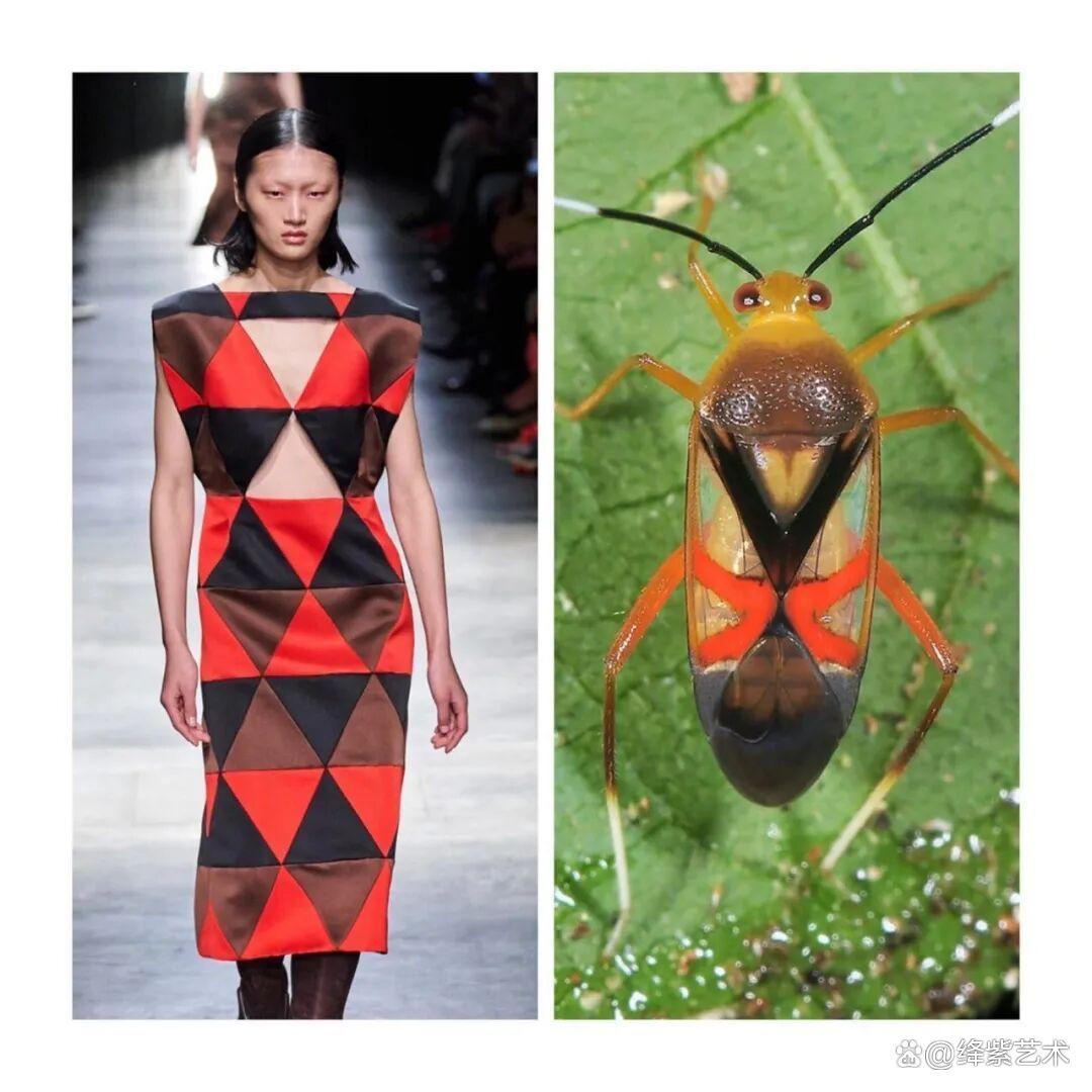 叹为观止!这20个创意服装,原型竟然是虫子、蜥蜴和蘑菇插图17 叹为观止!这20个创意服装,原型竟然是虫子、蜥蜴和蘑菇插图17
