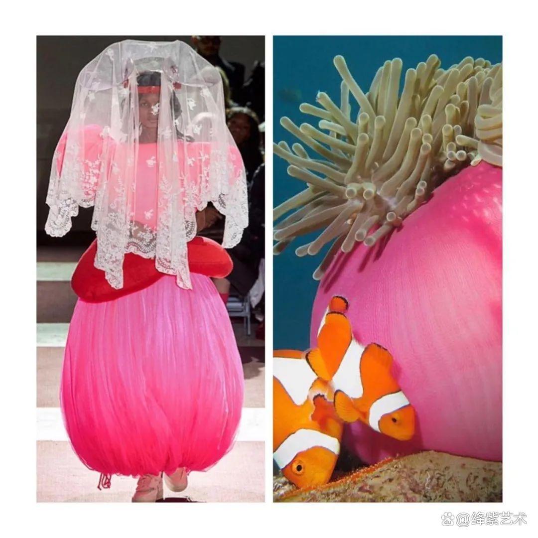 叹为观止!这20个创意服装,原型竟然是虫子、蜥蜴和蘑菇插图4 叹为观止!这20个创意服装,原型竟然是虫子、蜥蜴和蘑菇插图4