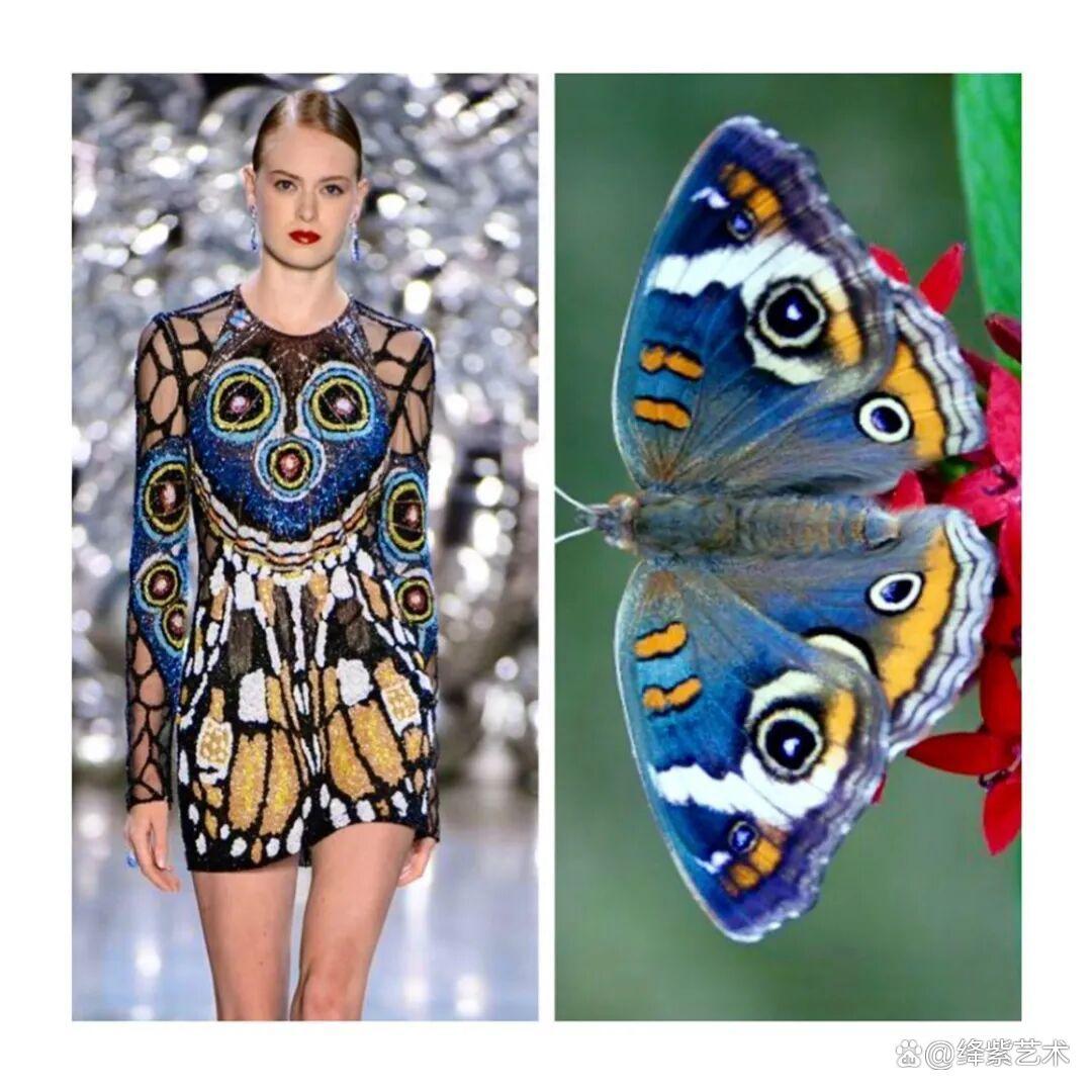 叹为观止!这20个创意服装,原型竟然是虫子、蜥蜴和蘑菇插图8 叹为观止!这20个创意服装,原型竟然是虫子、蜥蜴和蘑菇插图8