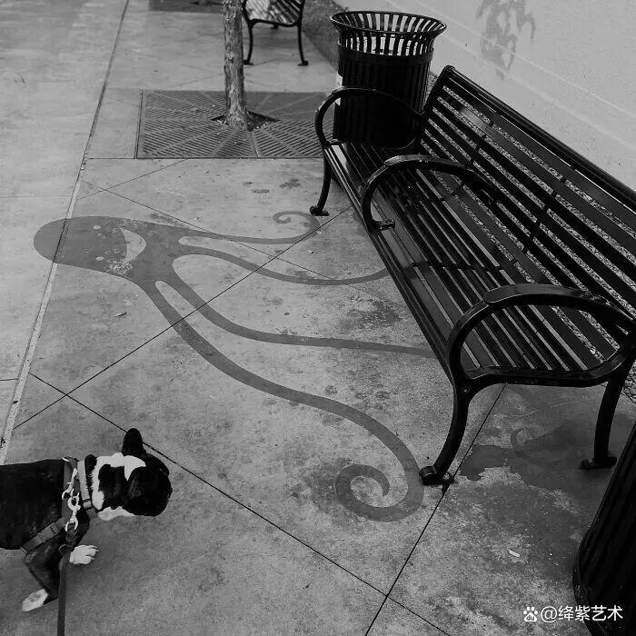 太有趣了,影子竟然变成小怪物,让人既惊讶又惊喜插图14 太有趣了,影子竟然变成小怪物,让人既惊讶又惊喜插图14