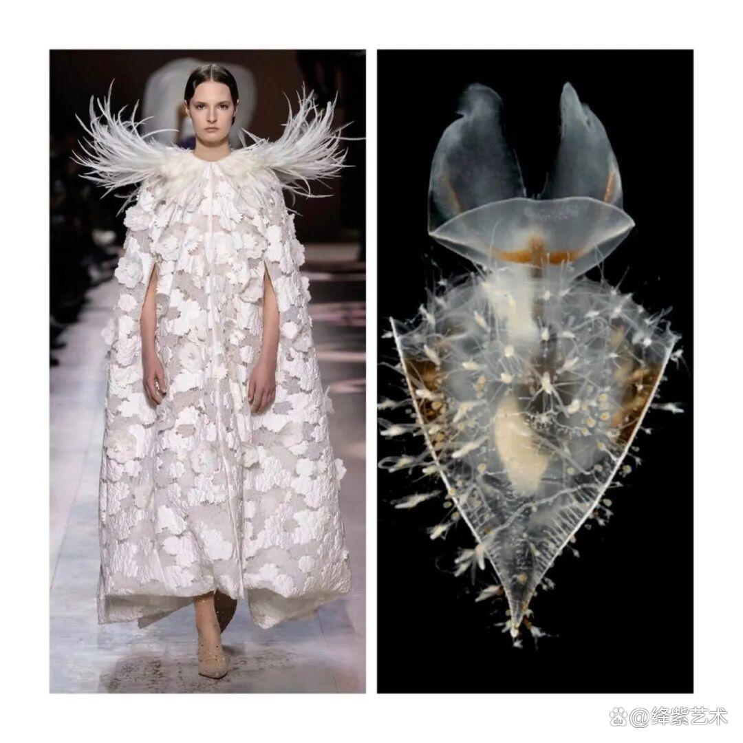 叹为观止!这20个创意服装,原型竟然是虫子、蜥蜴和蘑菇插图16 叹为观止!这20个创意服装,原型竟然是虫子、蜥蜴和蘑菇插图16