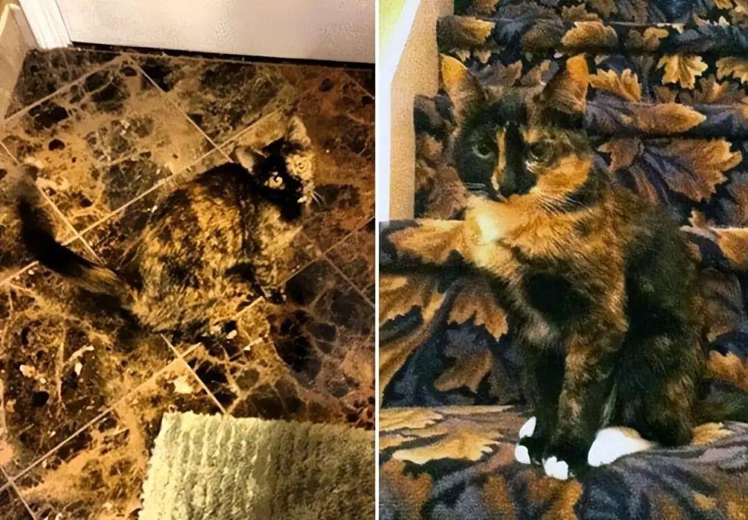 太巧了吧！20张现实中的“神级错位”，完全没修图却像特效插图6