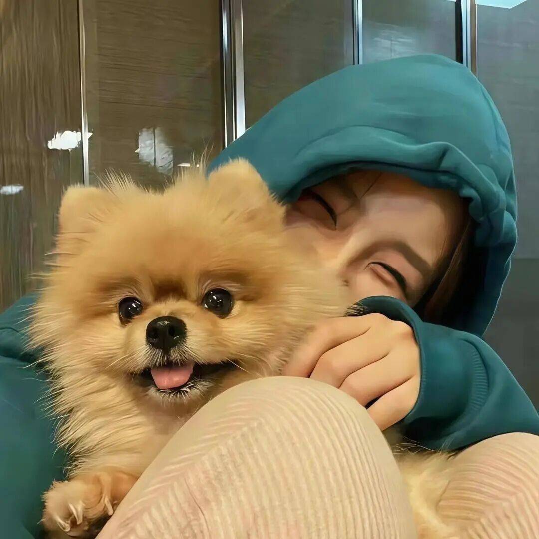 有生之年最爆笑系列段子，淡定别慌，小场面啦！插图5