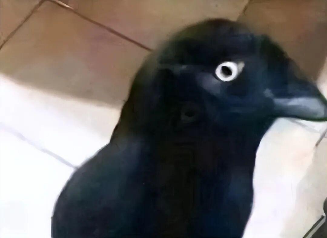 太巧了吧！20张现实中的“神级错位”，完全没修图却像特效插图3