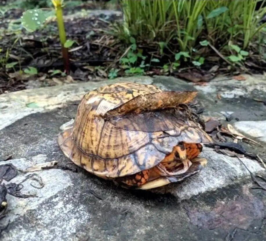 太巧了吧！20张现实中的“神级错位”，完全没修图却像特效插图