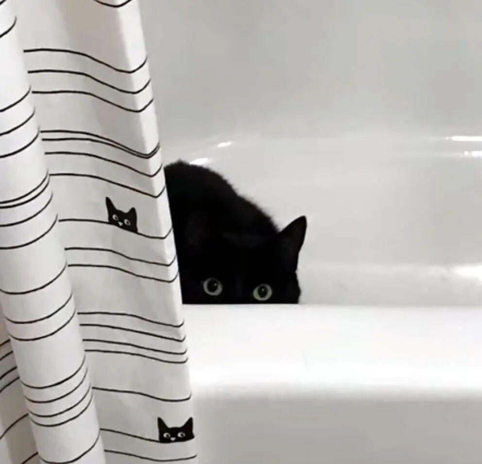 20张巧得离谱的照片:生活这导演,真是会安排插图15 20张巧得离谱的照片:生活这导演,真是会安排插图15