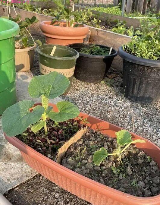 毫不留情的现实:21组对比照,看完你就懂什么叫“差距”插图16 毫不留情的现实:21组对比照,看完你就懂什么叫“差距”插图16