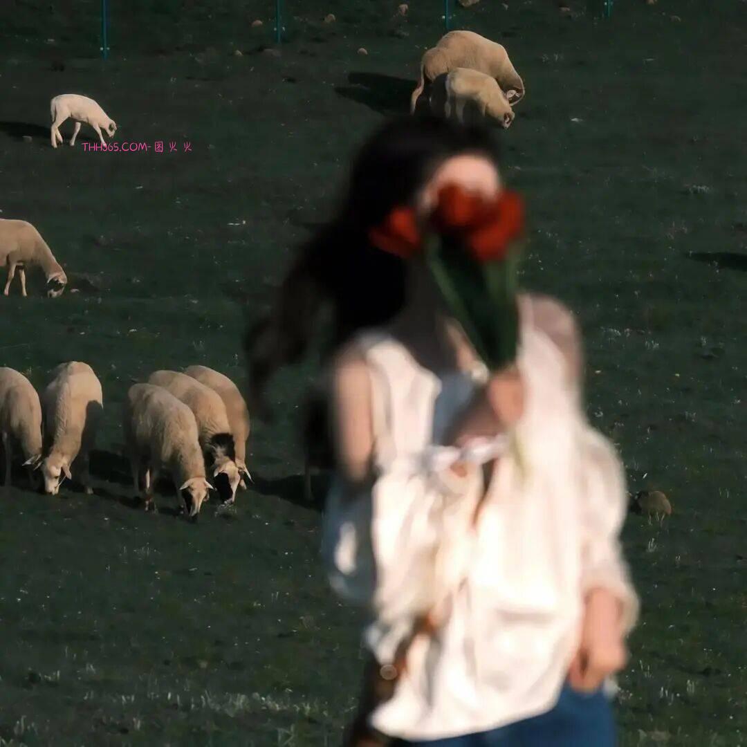 哈哈哈，一秒笑趴下的最新笑话，笑到让你停不下来插图