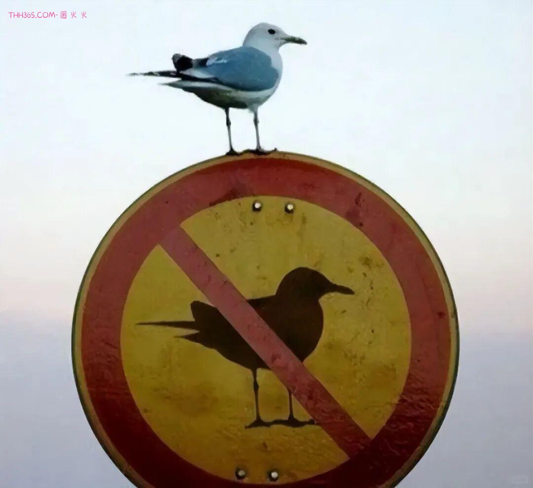 巧合界的天花板:20张照片太离谱,现实都编不出这样的剧本插图11 巧合界的天花板:20张照片太离谱,现实都编不出这样的剧本插图11